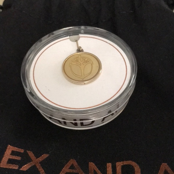 Alex and Ani Unexpected Miracles necklace charm - Picture 1 of 3